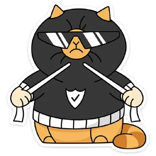 🐱