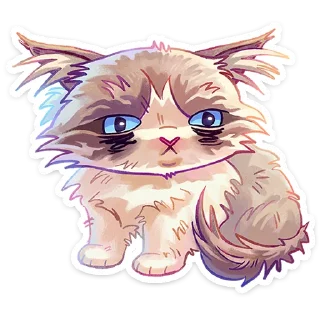 😽