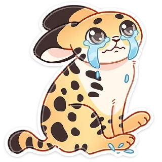 😭