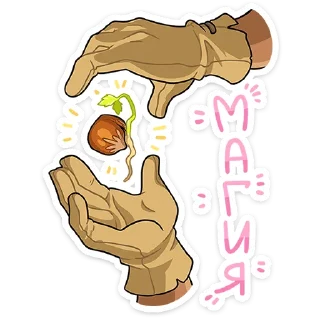 ⭐