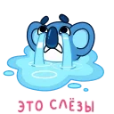 ⭐