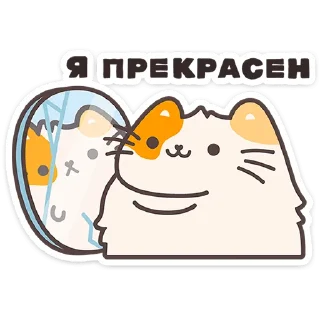 🐱