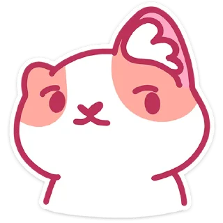 🐱