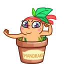 💪