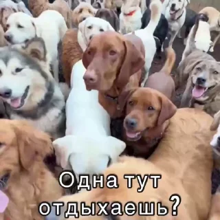 😏