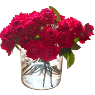ПОСТАВЬ ЦВЕТЫ В ВОДУ — Telegram sticker pack