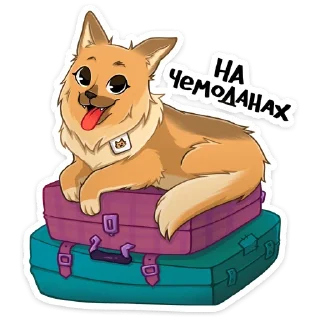 ⭐