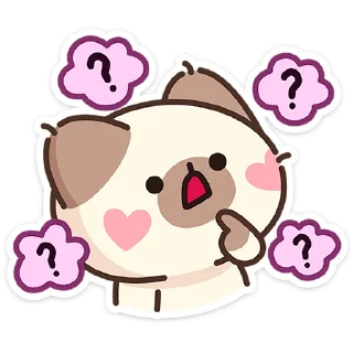 🐱