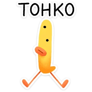 🌟