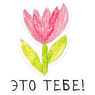 🌸