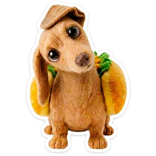 🐶