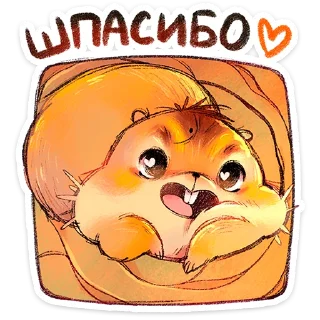 🌟