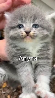 🫥