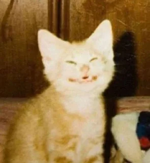 🙂