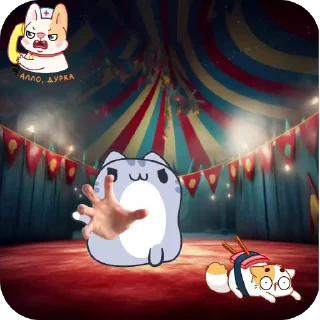 🎪