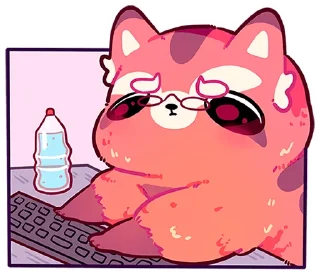 💻