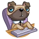 👨💻