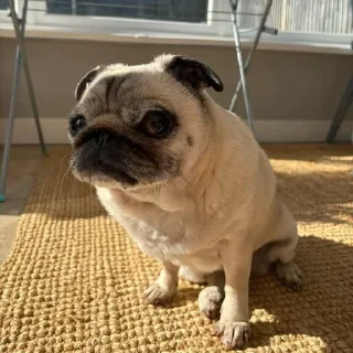 😑