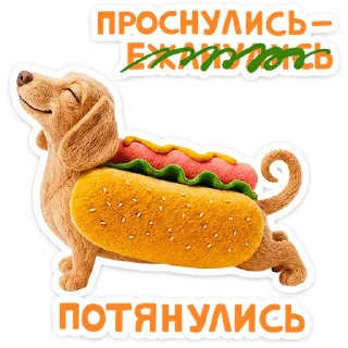 🐶