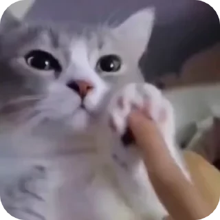 🥰