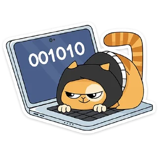 🐱