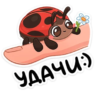 🐞
