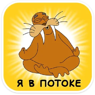 ⭐