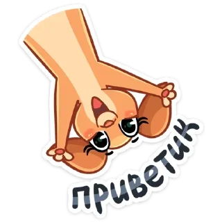 👋