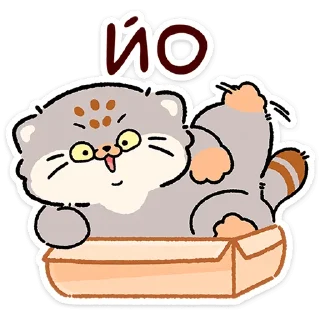 😼