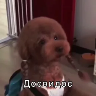 👋