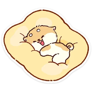 🌟