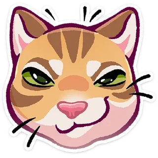 🐱