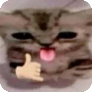 🤙