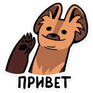 ⭐