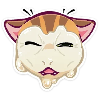 🐱