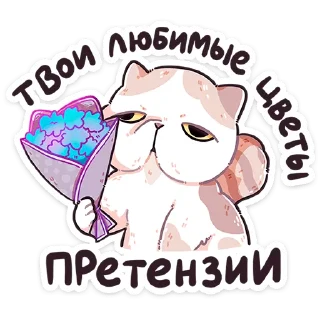 ⭐