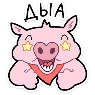 🐷
