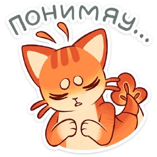 🐱