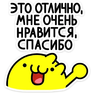 🐱