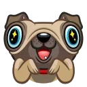 Fred the Pug — Telegram sticker pack