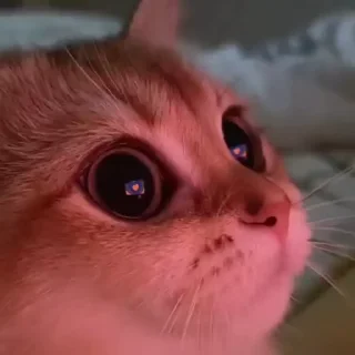 ❤