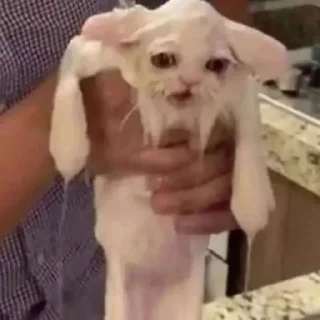 💦