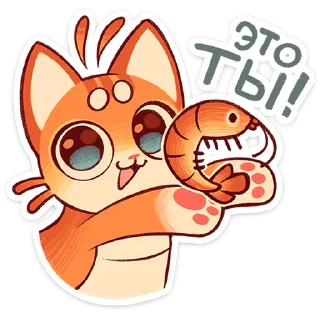 🦐