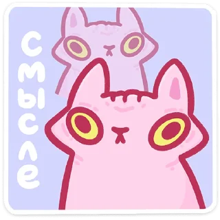 🐱