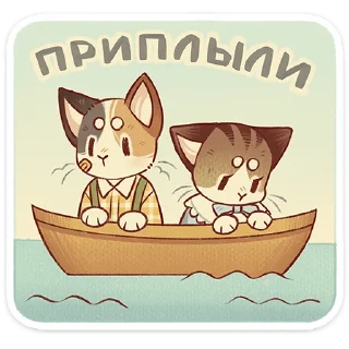 🐱