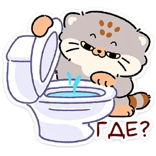 😼
