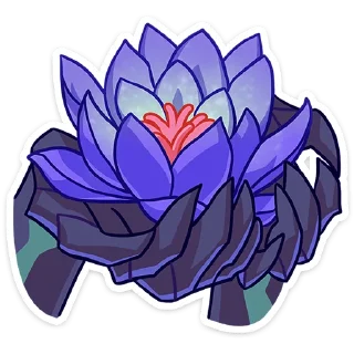 🌷