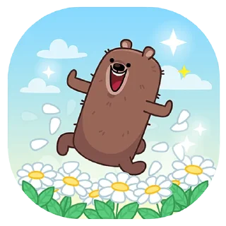 🐻