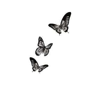 🦋