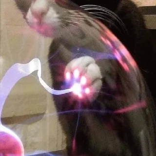 😠
